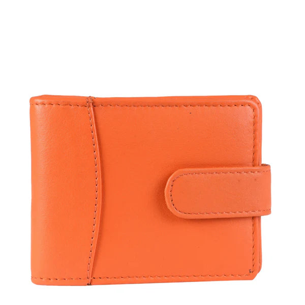 Leather Card Wallet | Multi Colour