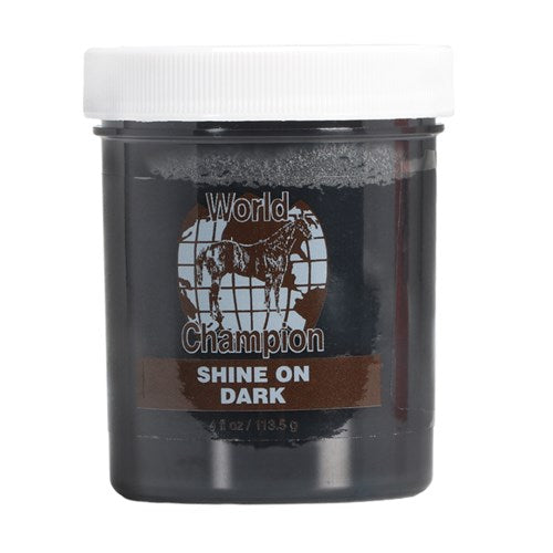 World Champion - Shine On