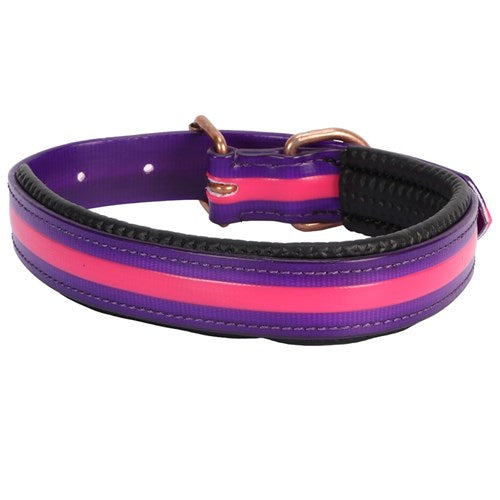 PVC Dog Collars