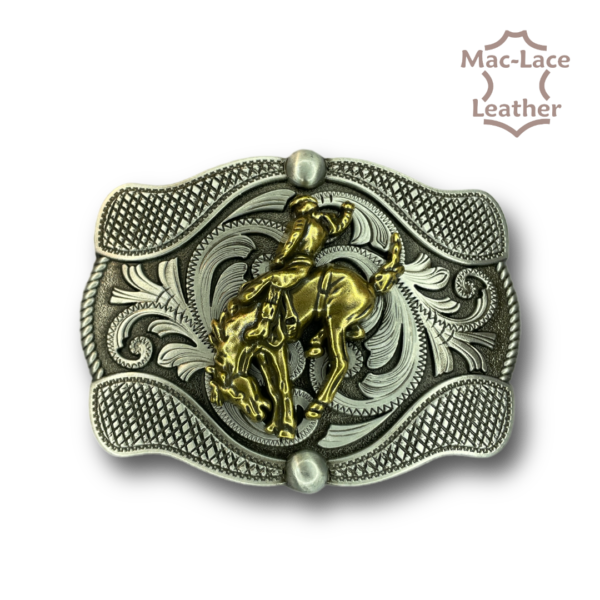 Belt Buckles - Various colours and designs