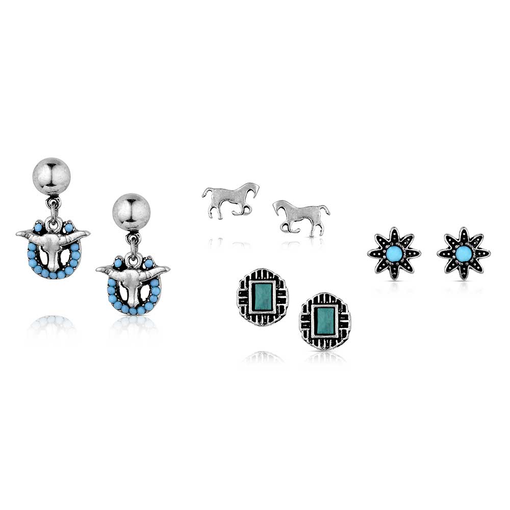 Everyday Western Post Earring Set