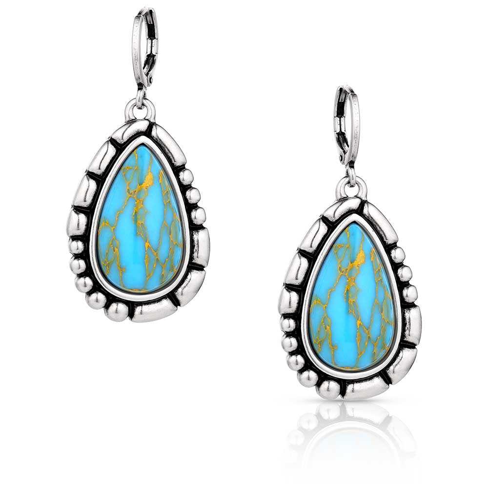 Montana Silver Prickly Pear Turquoise Earrings