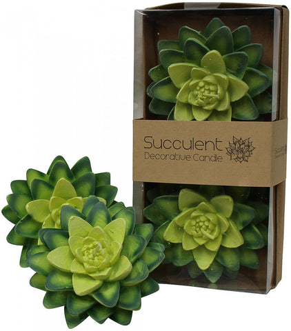 Candle - Succulent B - Set of Two