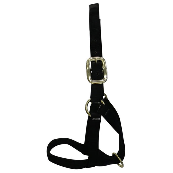 Cattle Halter Horse Torque Saddlery