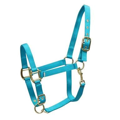 Rancher Vivid Nylon Halter - Full Size