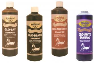 Showsilk Glo Shampoo - 500 ml