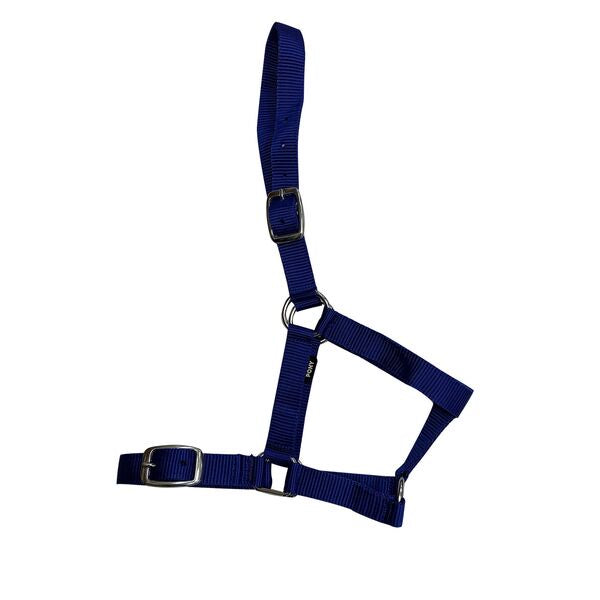 Halter Cob Nylon Horse Torque Saddlery