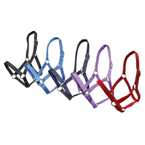 Rancher Stable Halter