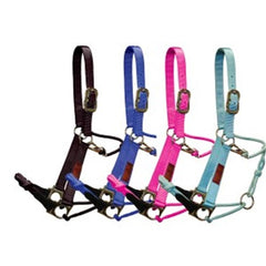 Fort Worth Hybrid Halter