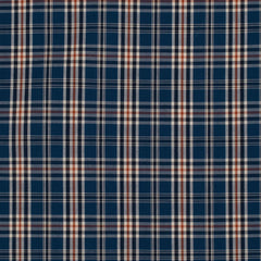 Just Country Mens Austin Shirt | Cobalt/Rust Plaid