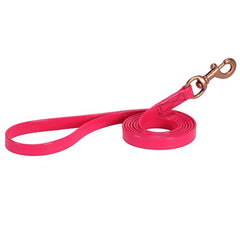 PVC Dog Lead