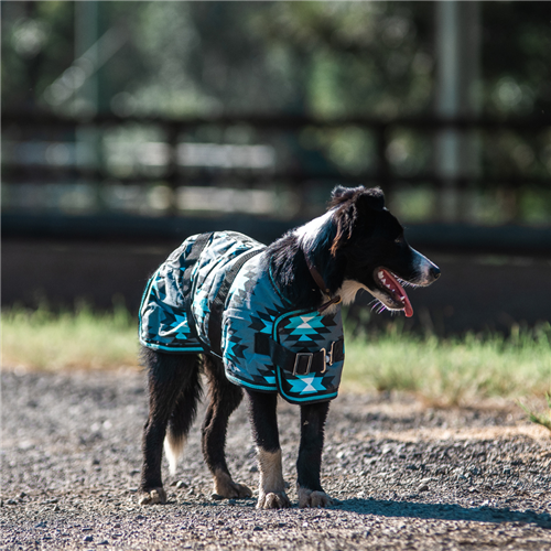 Thermo Master Supreme Dog Coat