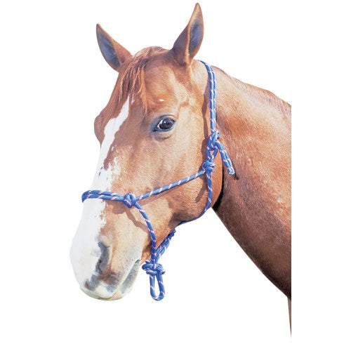 Rancher Rope Horsemanship halter