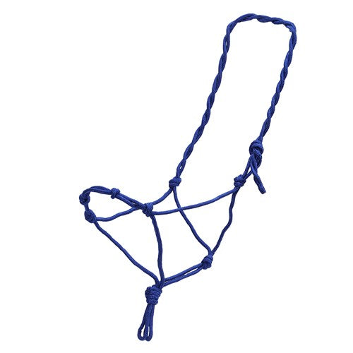 Rope training halter