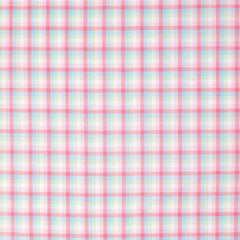 Just Country Womens Abbey Workshirt | Soft Pink and Blue Check