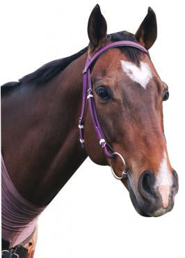 Showcraft PVC Race Bridle